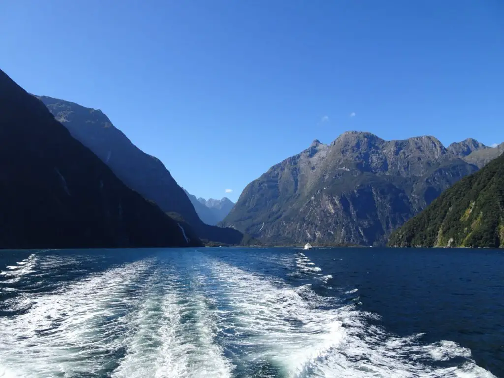 view of milford sound from the cruise boat