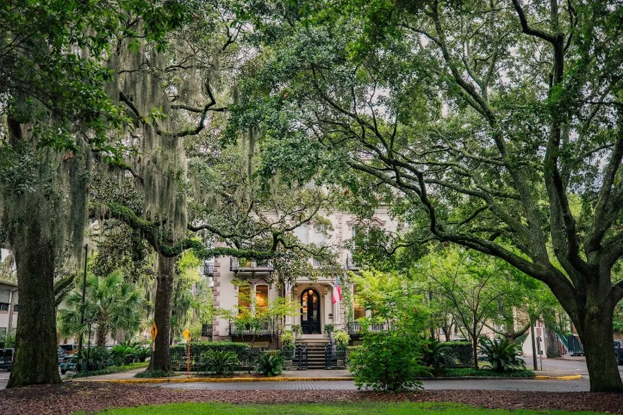 savannah georgia usa trees and historical building with an american flag