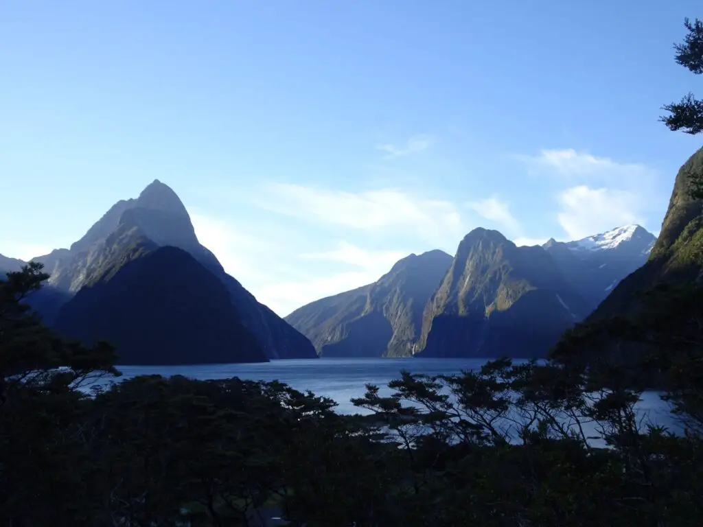 view of milford sound from the lookout