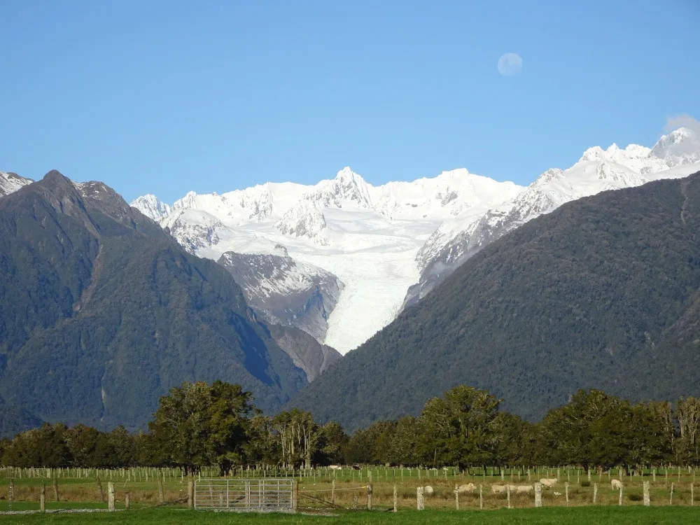 view of fox glacier from the fox glacier viewpoint