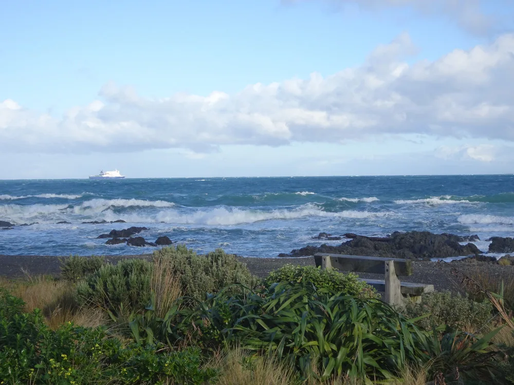 owhiro bay te kopahou freedom camping wellington city