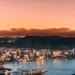 wellington at sunset