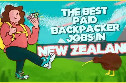 the best paid backpacker jobs in new zealand - wild lovely world travel blog - girl backpacker holding money walking on a grassy field with mountains in the background and a kiwi bird next to her - illustration by fiachra hackett
