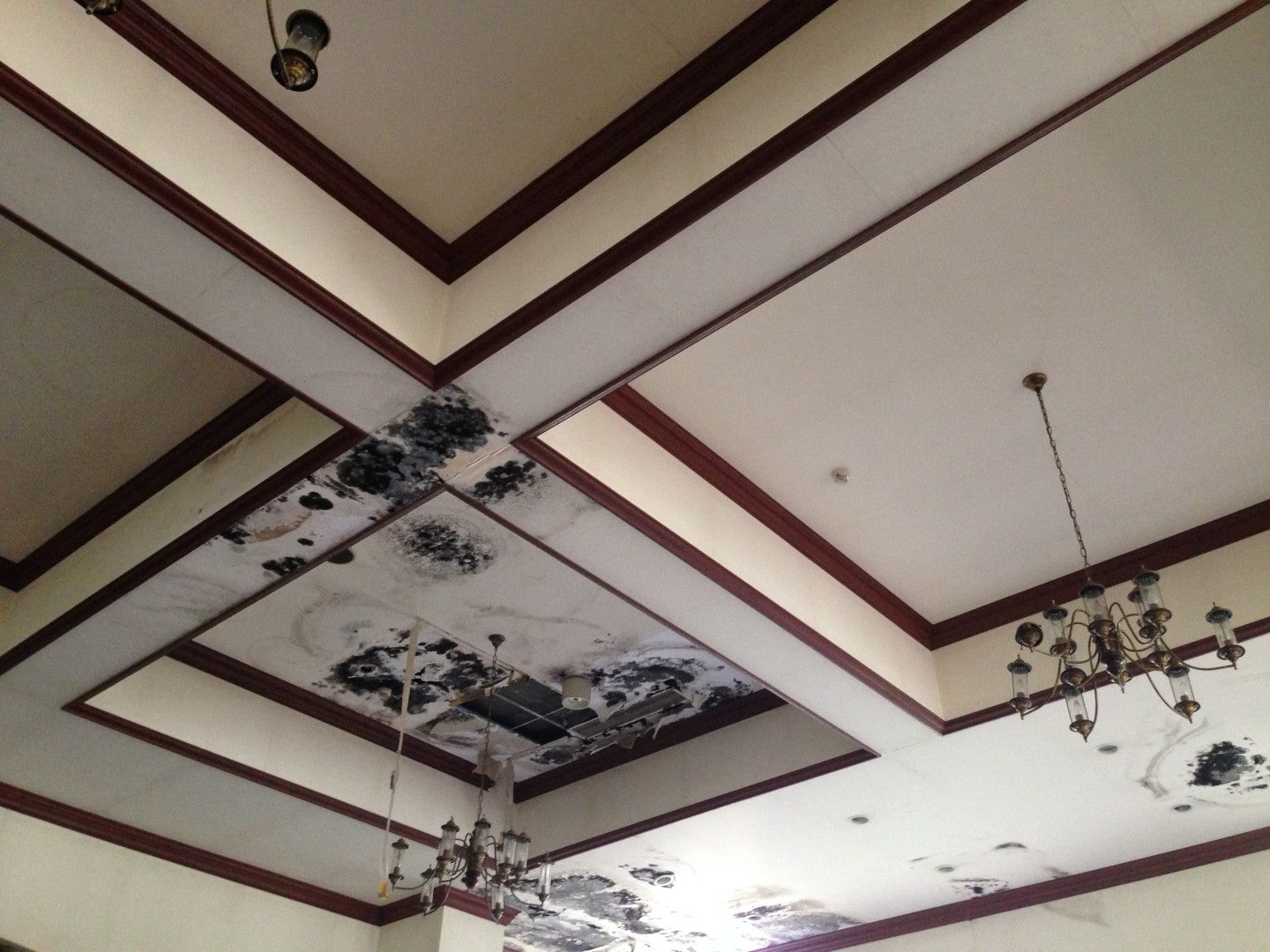 mouldy ceiling and hanging lights