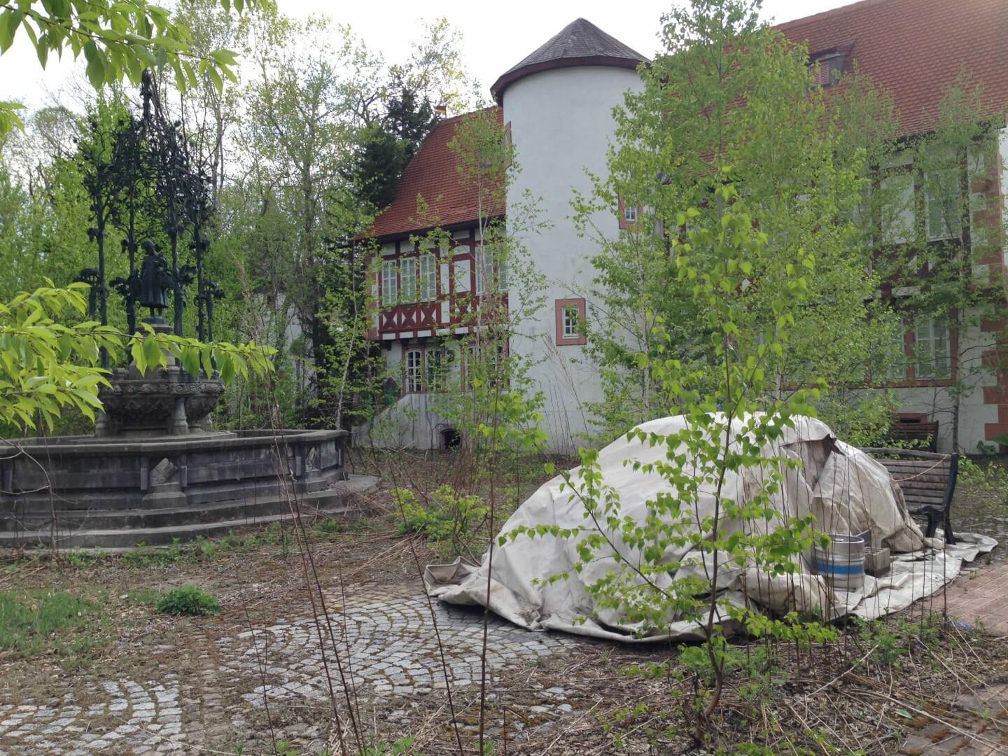 overgrown courtyard with a car covered with tarp