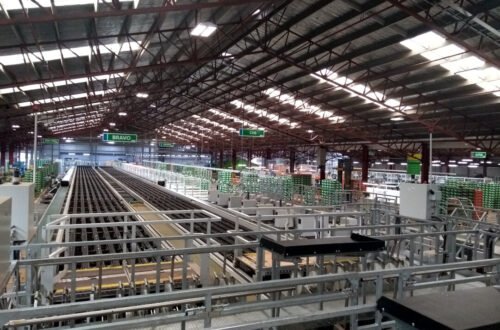 inside eastpack kiwifruit packhouse te puke new zealand