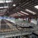 inside eastpack kiwifruit packhouse te puke new zealand