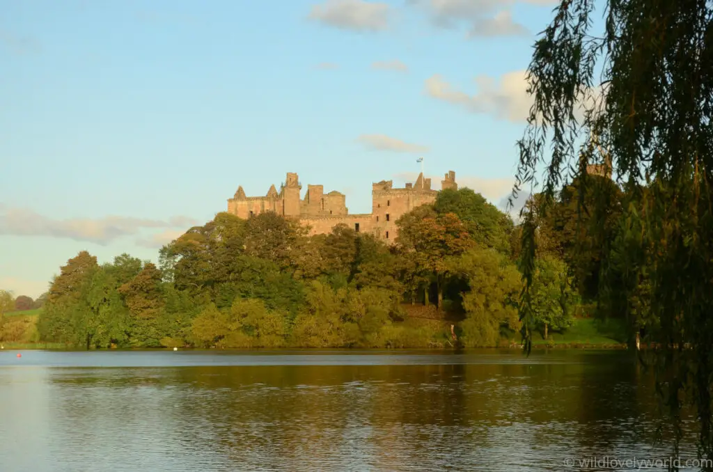 linlithgow palace with a waving scottish flag surrounded by trees on the shores of the linlithgow loch