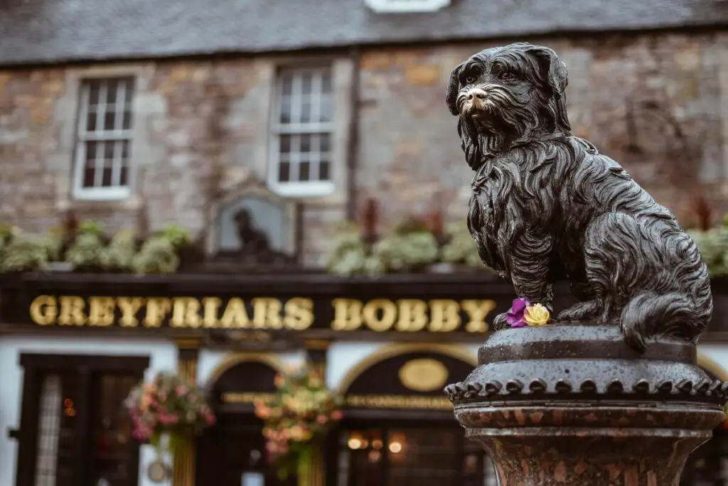 edinburgh greyfriars bobby dog statue