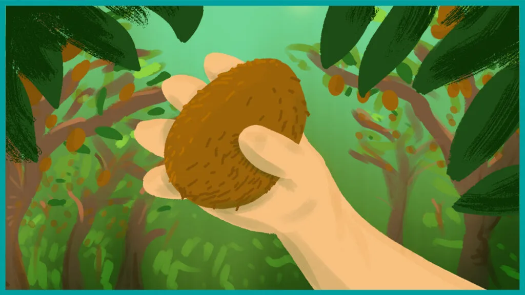 illustration of a hand picking a kiwi fruit in an orchard - illustration by fiachra hackett - horticulture jobs