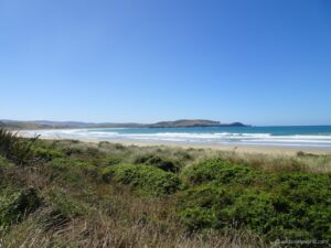 porpoise bay, the catlins, new zealand