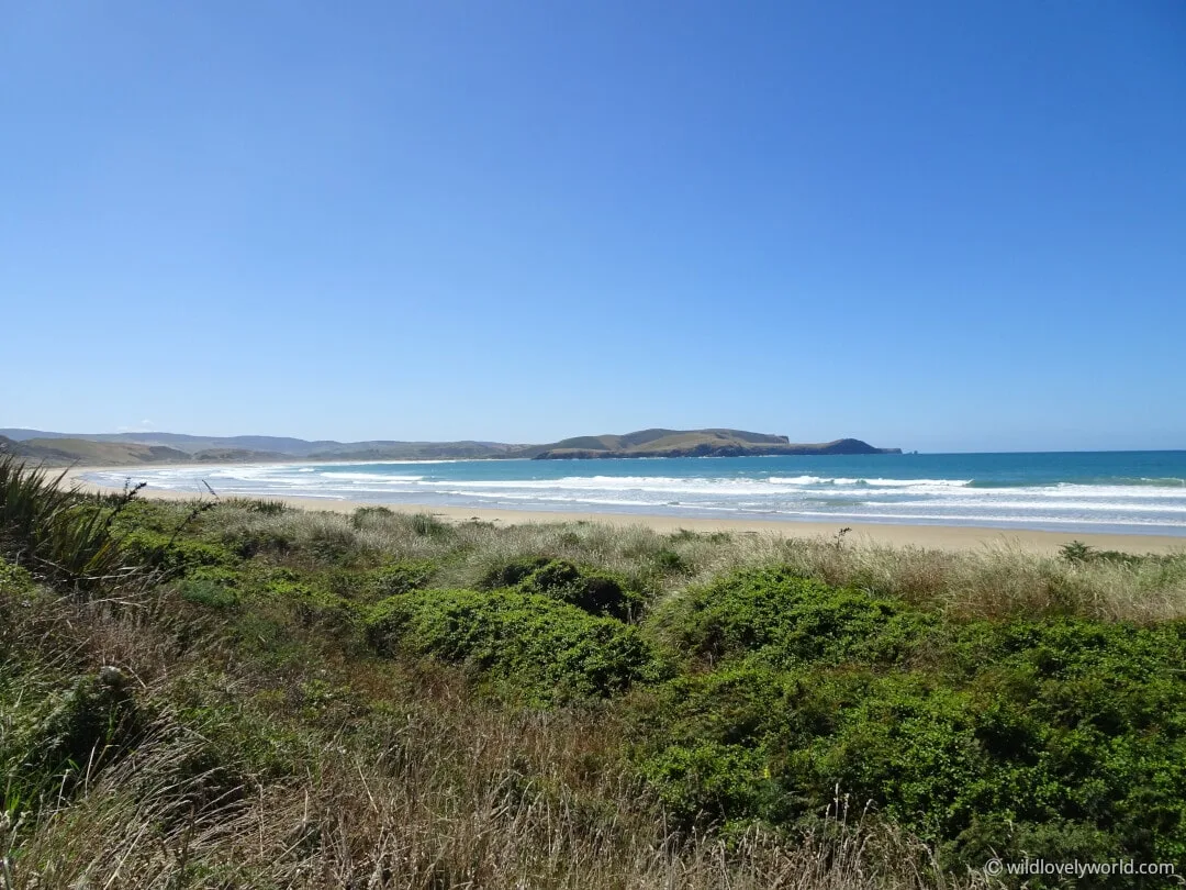 porpoise bay, the catlins, new zealand