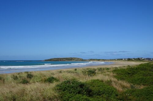 curio bay and porpoise bay beach, the catlins, new zealand