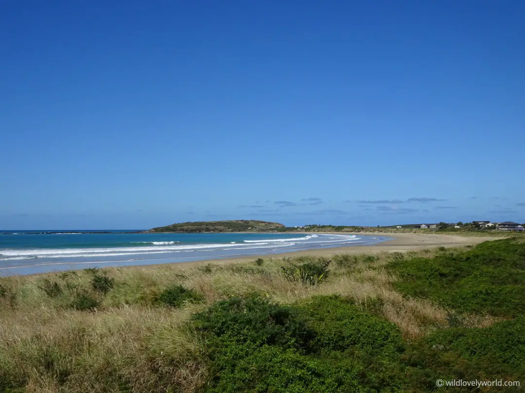 curio bay and porpoise bay beach, the catlins, new zealand