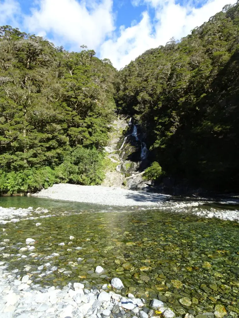 view of the fantail falls along the haast pass road in the south island new zealand. stony river in front of the falls with bush either side of the falls.