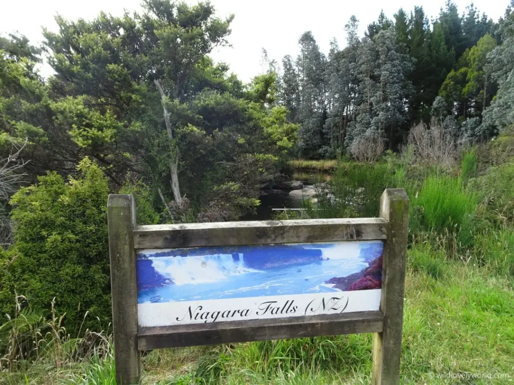 sign for the niagara falls (nz) with the river and bush behind
