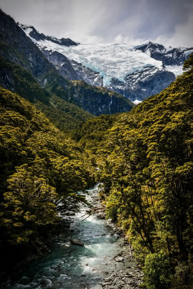 view of rob roy glacier through the valley and the rob roy stream
