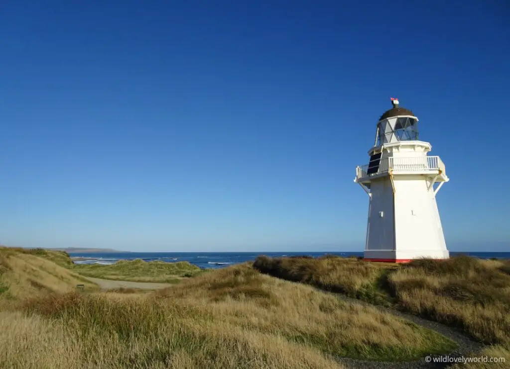 waipapa point lighthouse - white lighthouse on the right with a view of the dunes and the sea behind, with a blue sky