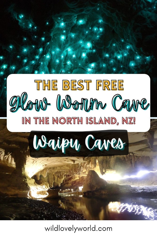 the best free glowworm cave in the north island new zealand - waipu caves - wild lovely world