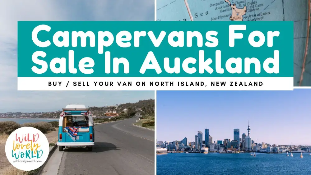 campers for sale in auckland - buy/sell your van on north island, new zealand - wild lovely world facebook group