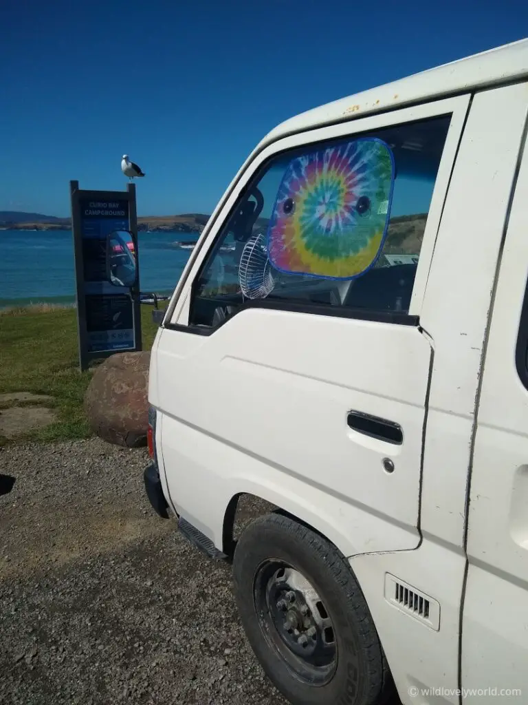white campervan parked at curio bay campground facing the sea