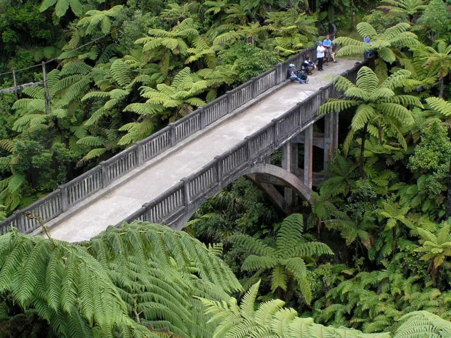 bridge to nowhere whanganui national park new zealand