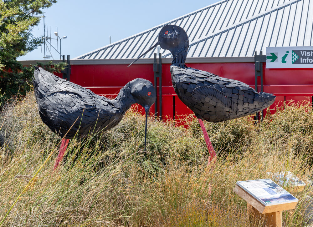 giant black stilt sculptures in twizel town square by noel gregg - big things south island new zealand