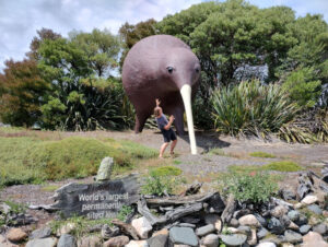 fiachra being scared of the giant kiwi statue near motueka - big things in the south island, new zealand