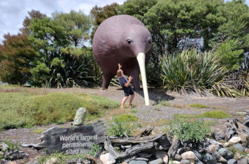 fiachra being scared of the giant kiwi statue near motueka - big things in the south island, new zealand