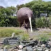fiachra being scared of the giant kiwi statue near motueka - big things in the south island, new zealand