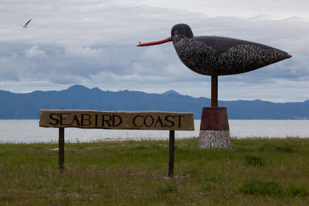 kaiaua giant oystercatcher sculpture north island new zealand