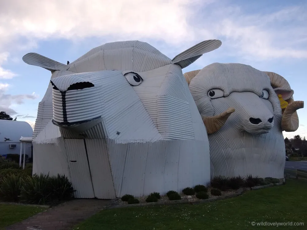 giant corrugated iron sheep and ram buildings in tirau north island new zealand big things