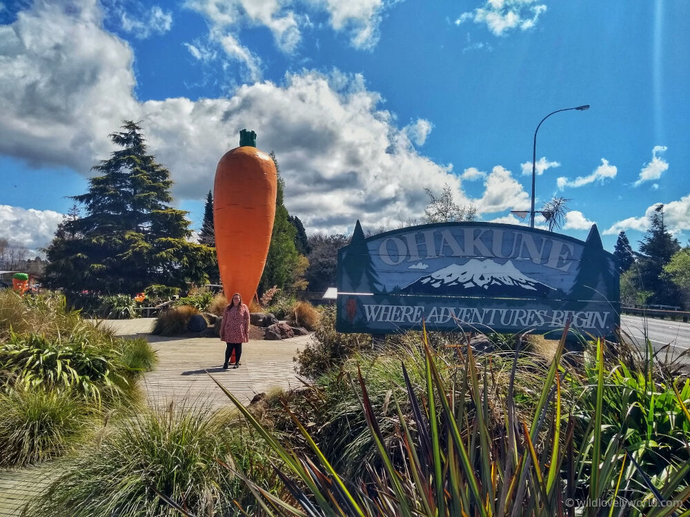 lauren standing in front of ohakune's big carrot statue at the ohakune carrot adventure park - giant sculpture in new zealand