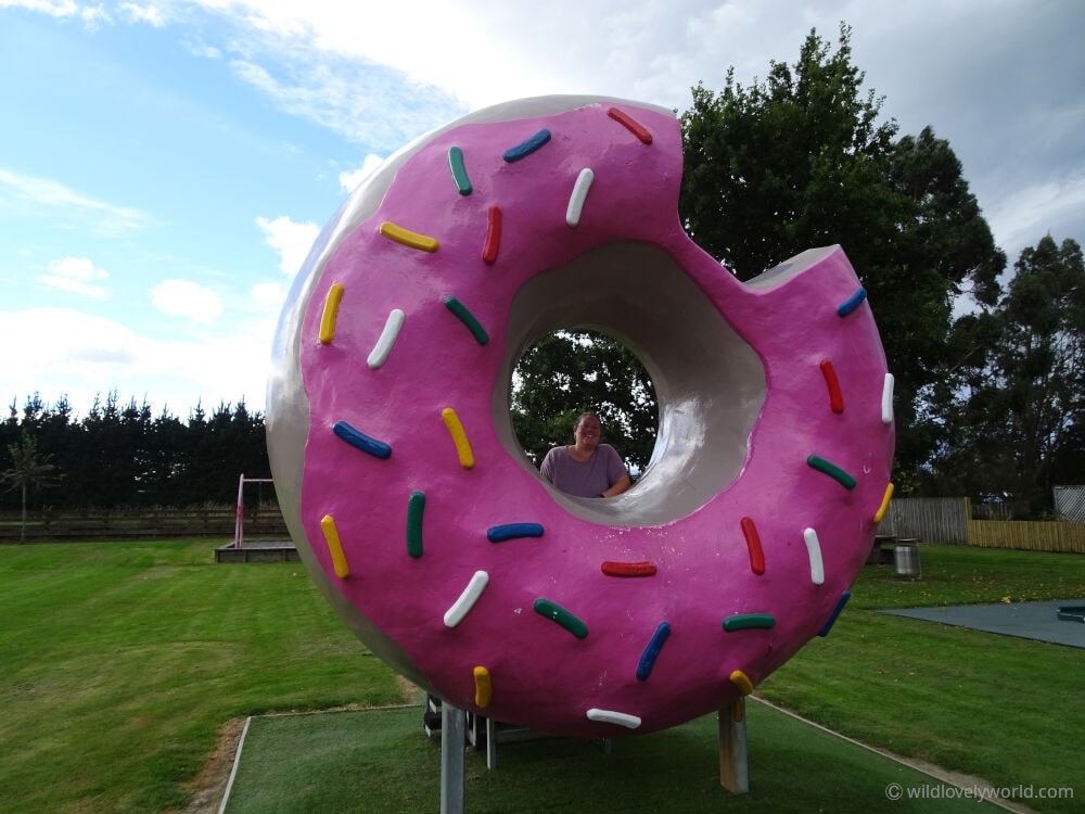 lauren looking through the springfield giant doughnut monument in new zealand - a big pink donut with multicoloured sprinkles