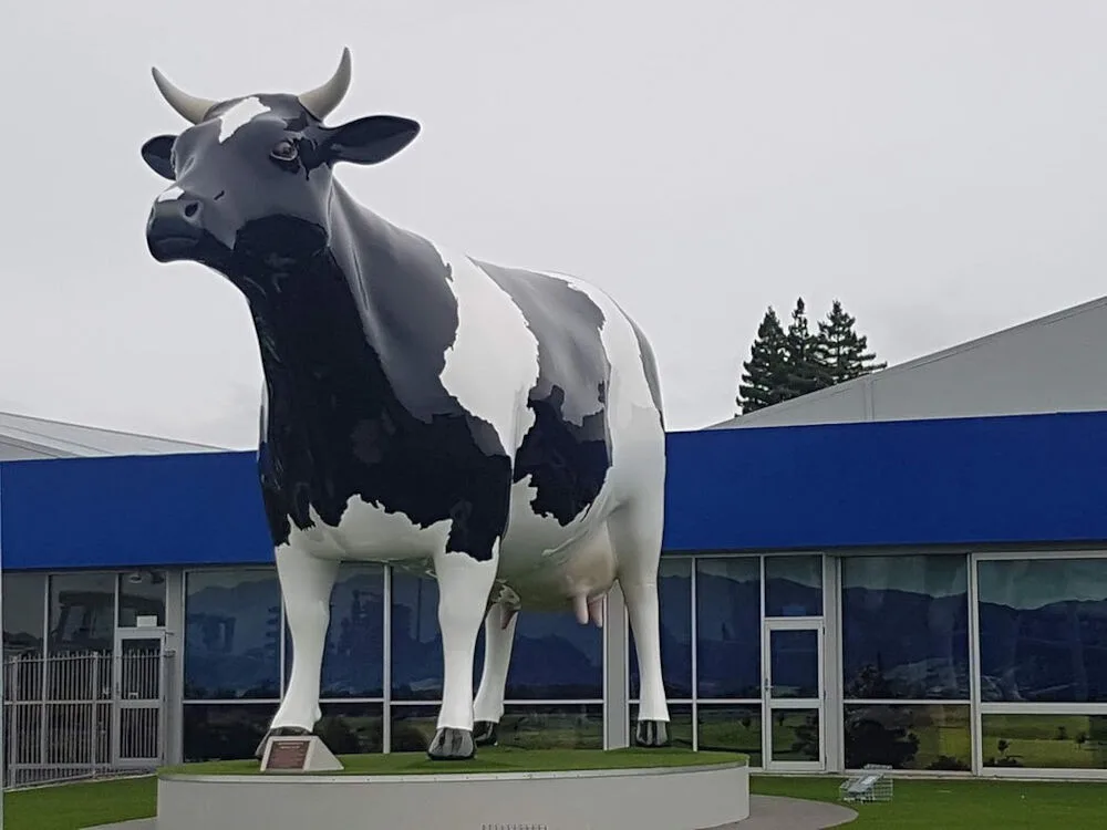 mega cow giant cow sculpture in morrinsville waikato - big things new zealand