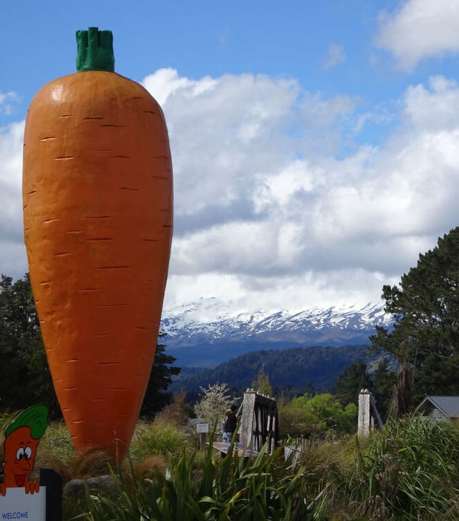 ohakune giant carrot with snowy tongariro national park mountains in the background