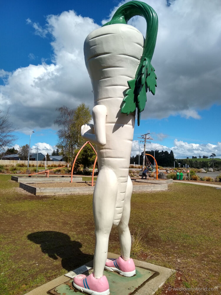 back side of the giant antropomorphic parsnip statue in ohakune carrot adventure park north island new zealand - it has muscly legs and arms and green leafy hair and wearing pink and blue trainers