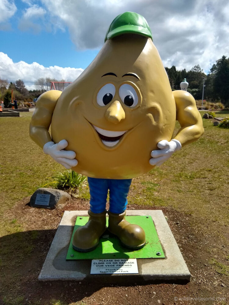 giant anthropomorphic potato statue in ohakune carrot adventure park - big things in new zealand