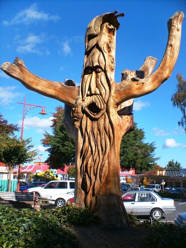 tokoroa talking poles the green man a wooden sculpture from a tree with a long face and beard - interesting sculptures new zealand