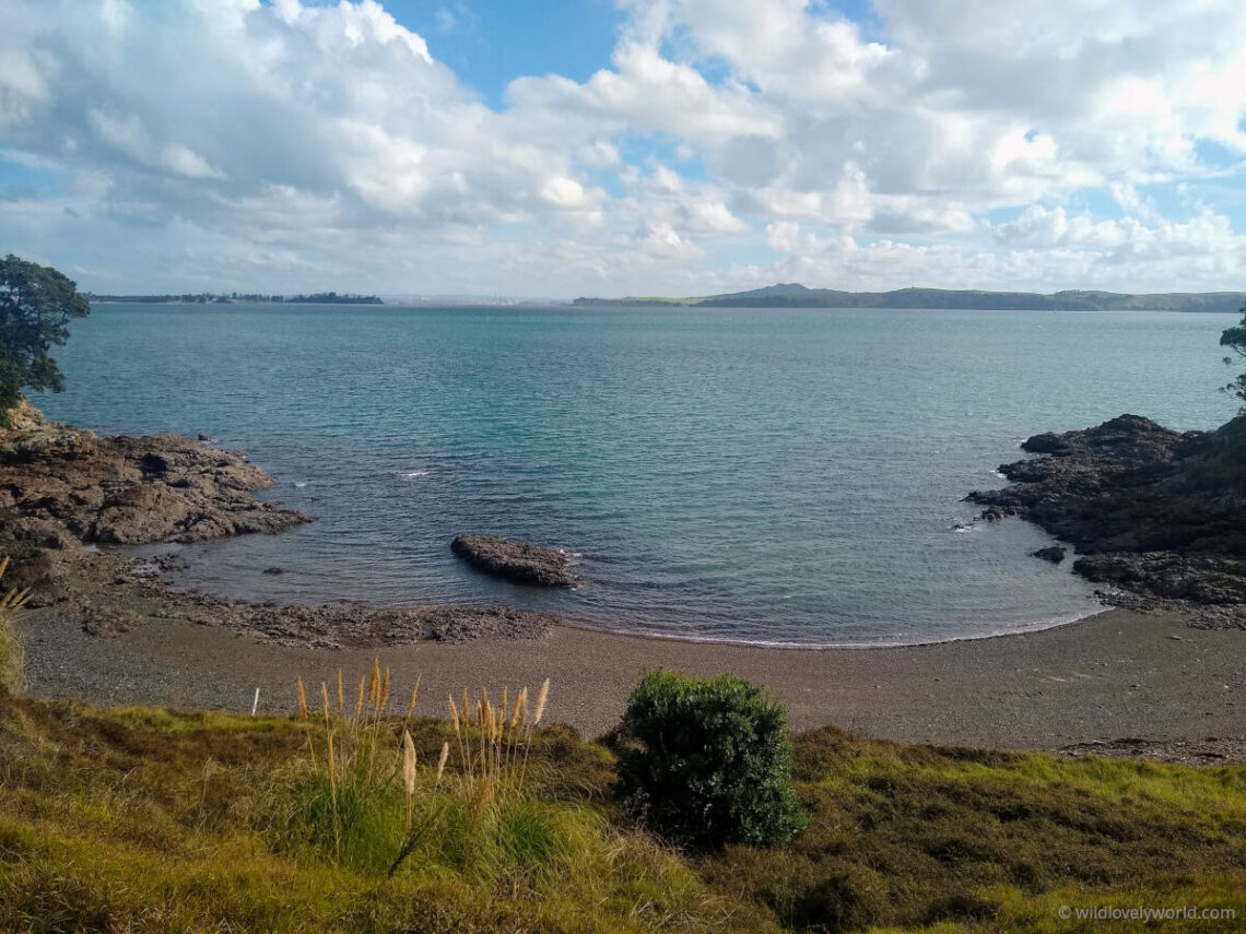 small cove beach with clear blue water, blue cloudy sky, along matiatia coastal walk on waiheke island auckland new zealand