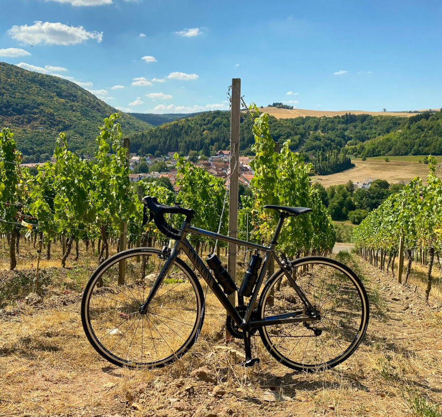 black bike resting against a wooden pole in a vineyard, with green hills and blue sky in background