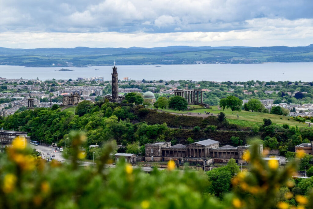 view of calton hill monuments and firth of forth in edinburgh with gorse in the foreground