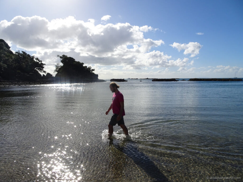 fiachra walking through clear, shallow water, with sun sparkling on the surface and in the distance, at enclosure bay beach waiheke island auckland new zealand