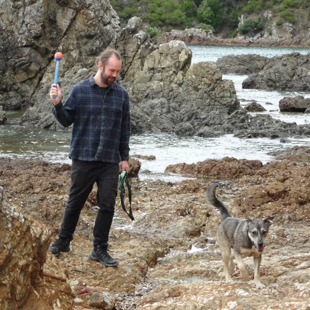 fiachra on a rocky beach by the sea holding a dogs ball throwing toy and looking at a big brown dog