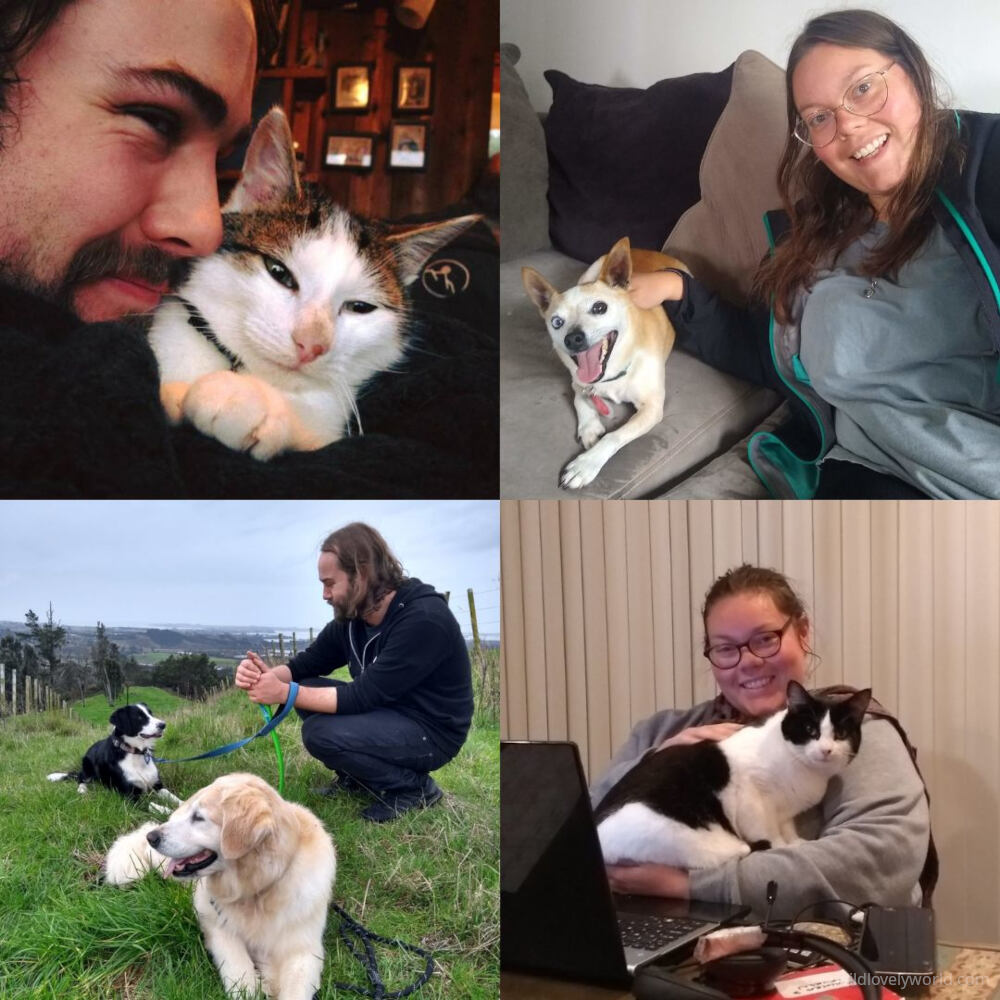 a grid of four photos, showing fiachra and lauren with different animals, including a small mini fox terrier dog, a golden retriever and a border collie, and a black and white cat and a ginger and white cat