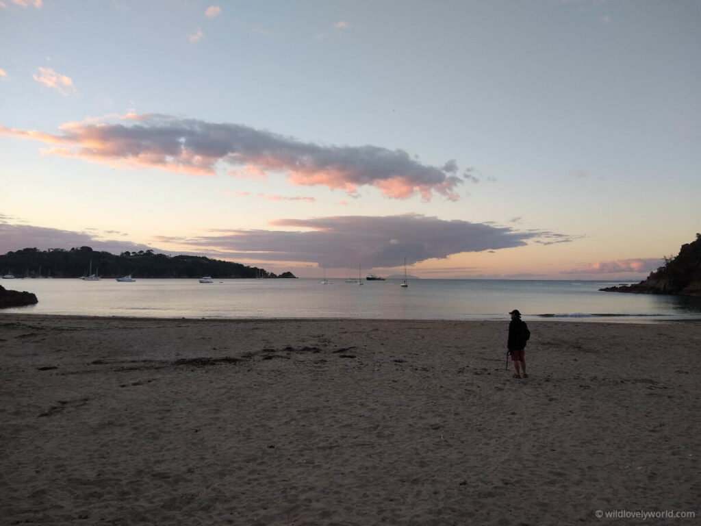 fiachra standing on little oneroa beach at sunset, a golden sandy beach, dark lighting, looking out across the bay with sailing boats on the water and pink clouds in the sky