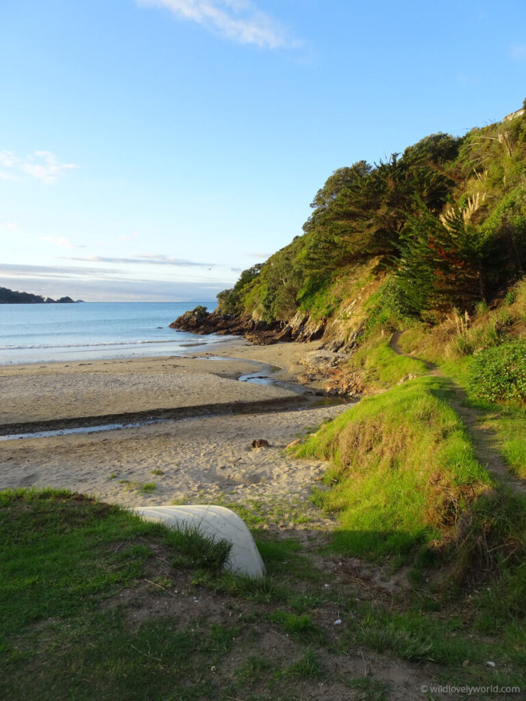 a white upturned paddle boat in the sand, with a coastal path going upward to the right, with grass and bush, and a sandy beach with blue water to the left - little oneroa beach waiheke island auckland