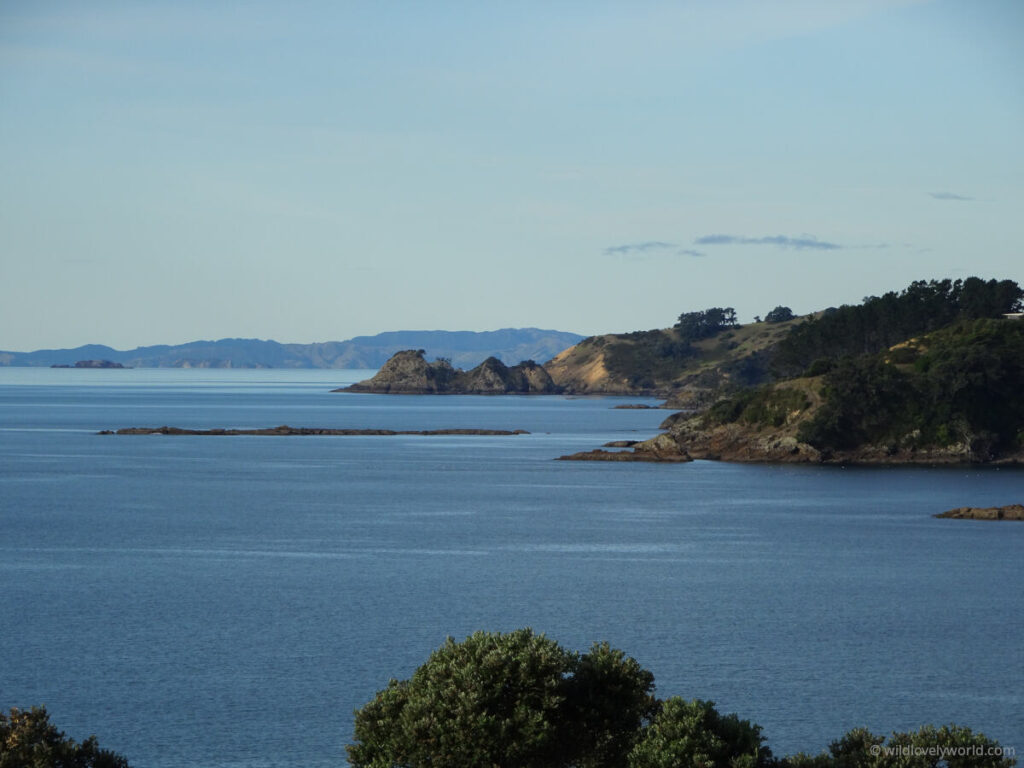 view of the sea and hills and headlands stretching into the distance, from oneroa on waiheke island, new zealand