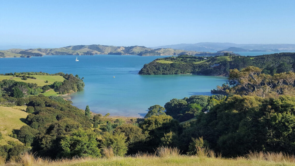 view of blue bays with a sailing boat and green rolling hills with trees - waiheke island in auckland new zealand