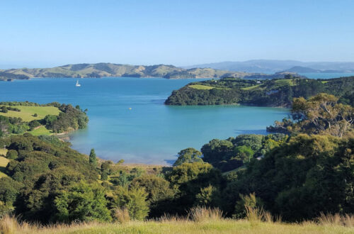 view of blue bays with a sailing boat and green rolling hills with trees - waiheke island in auckland new zealand